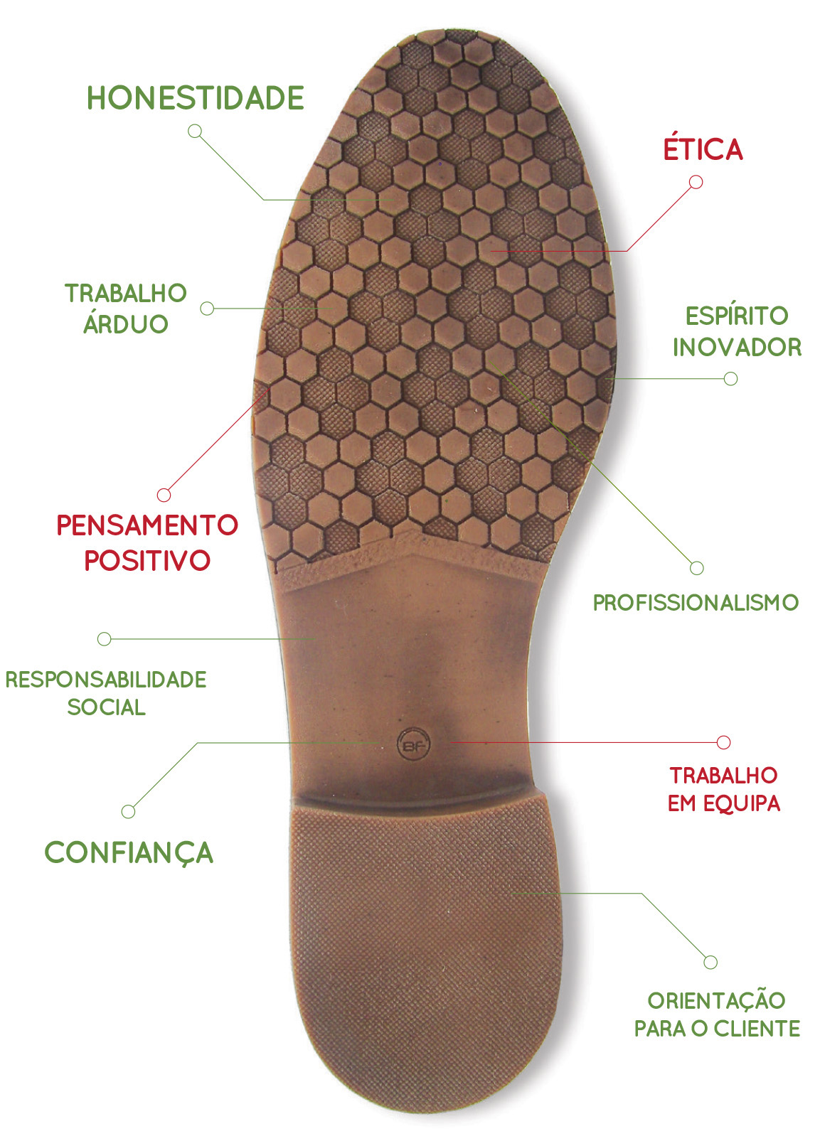 Bolflex Fachada